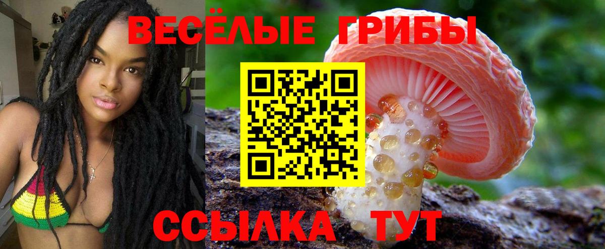 Коркино  Галлюциногенные грибы GOLDEN TEACHER  Галлюциногенные грибы прущие грибы  Вход с VPN 
