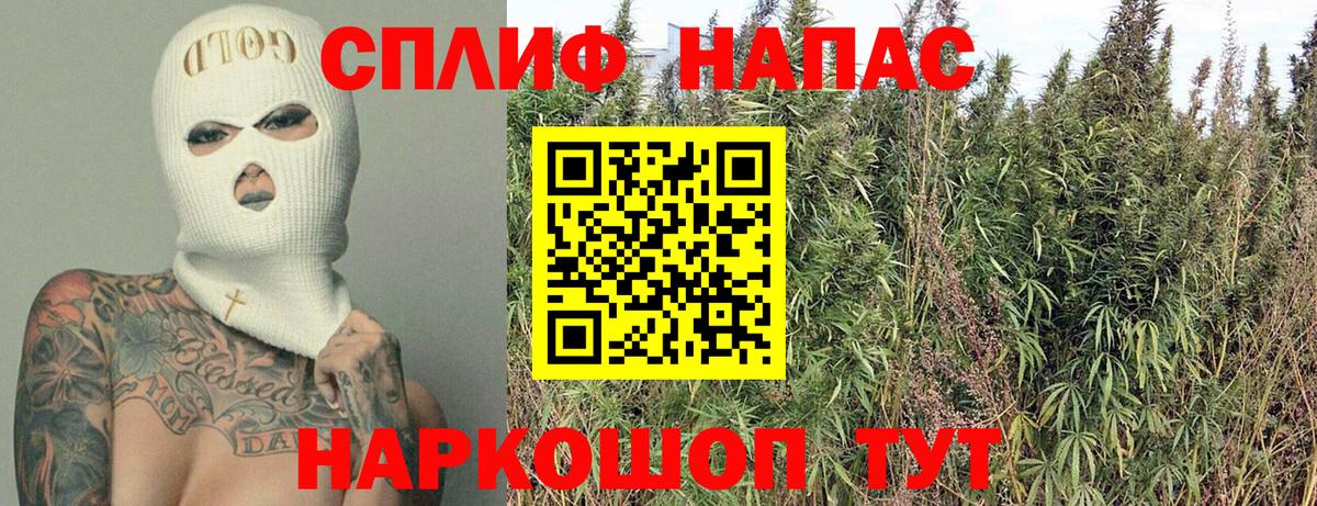Канабис гибрид Коркино